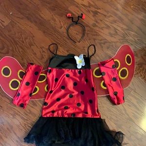 Lady bug costume !